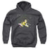 ELVIS PRESLEY/MULTICOLORED - YOUTH PULLOVER HOODIE - CHARCOAL