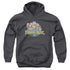 FRAGGLE ROCK/CIRCLE LOGO - YOUTH PULLOVER HOODIE - CHARCOAL