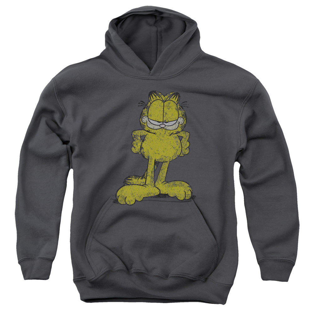 GARFIELD/BIG OL' CAT - YOUTH PULLOVER HOODIE - CHARCOAL