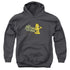 GARFIELD/JUST PRETEND IM LISTENING - YOUTH PULLOVER HOODIE - CHARCOAL
