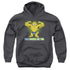 GARFIELD/NOTHING LIKE THIS - YOUTH PULLOVER HOODIE - CHARCOAL