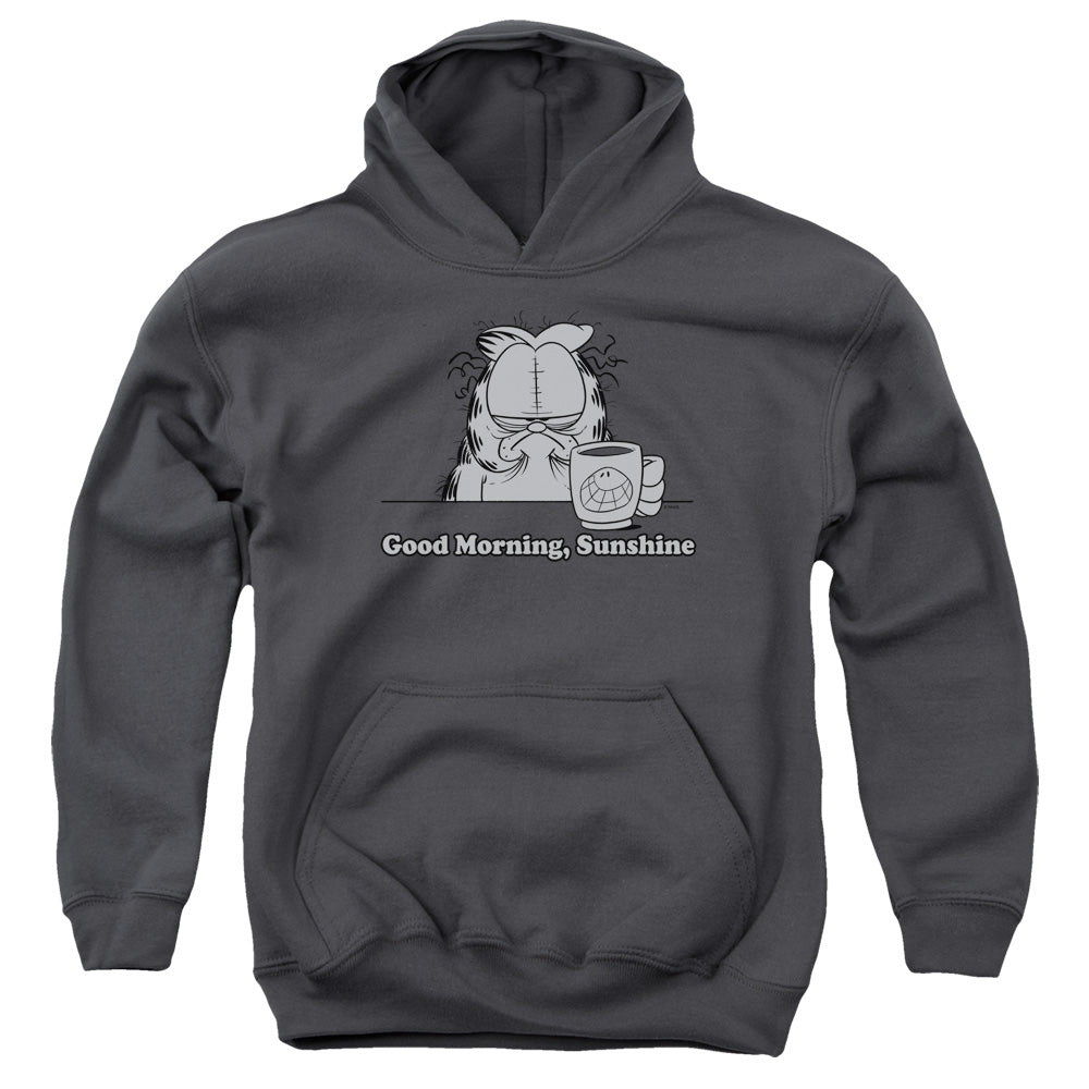 GARFIELD/GOOD MORNING SUNSHINE - YOUTH PULLOVER HOODIE - CHARCOAL