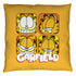 GARFIELD/FACES - THROW PILLOW