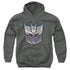 TRANSFORMERS/VINTAGE DECEPTICON LOGO - YOUTH PULLOVER HOODIE - CHARCOAL