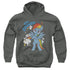 MY LITTLE PONY TV/20 PERCENT COOLER - YOUTH PULLOVER HOODIE - CHARCOAL
