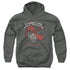 DUNGEONS AND DRAGONS/HOW I ROLL D AND D - YOUTH PULLOVER HOODIE - CHARCOAL