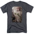 THE HOBBIT/BALIN - S/S ADULT 18/1 - CHARCOAL