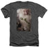 THE HOBBIT/BALIN - ADULT HEATHER - CHARCOAL