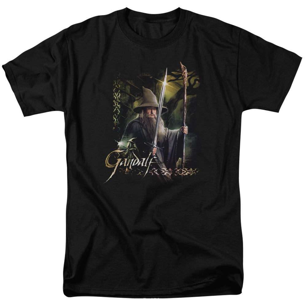 HOBBIT/SWORD AND STAFF - S/S ADULT 18/1  -  BLACK