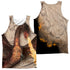 HOBBIT/SMAUG ATTACK (FRONT/BACK PRINT) - ADULT POLY TANK TOP - MULTI