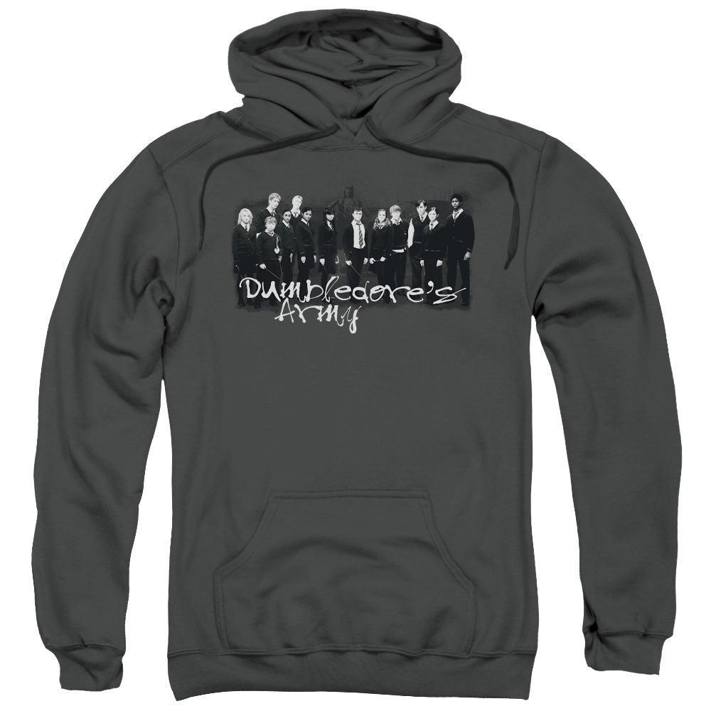 HARRY POTTER AND THE ORDER OF PHOENIX/DA SQUAD - ADULT PULLOVER HOODIE - CHARCOAL