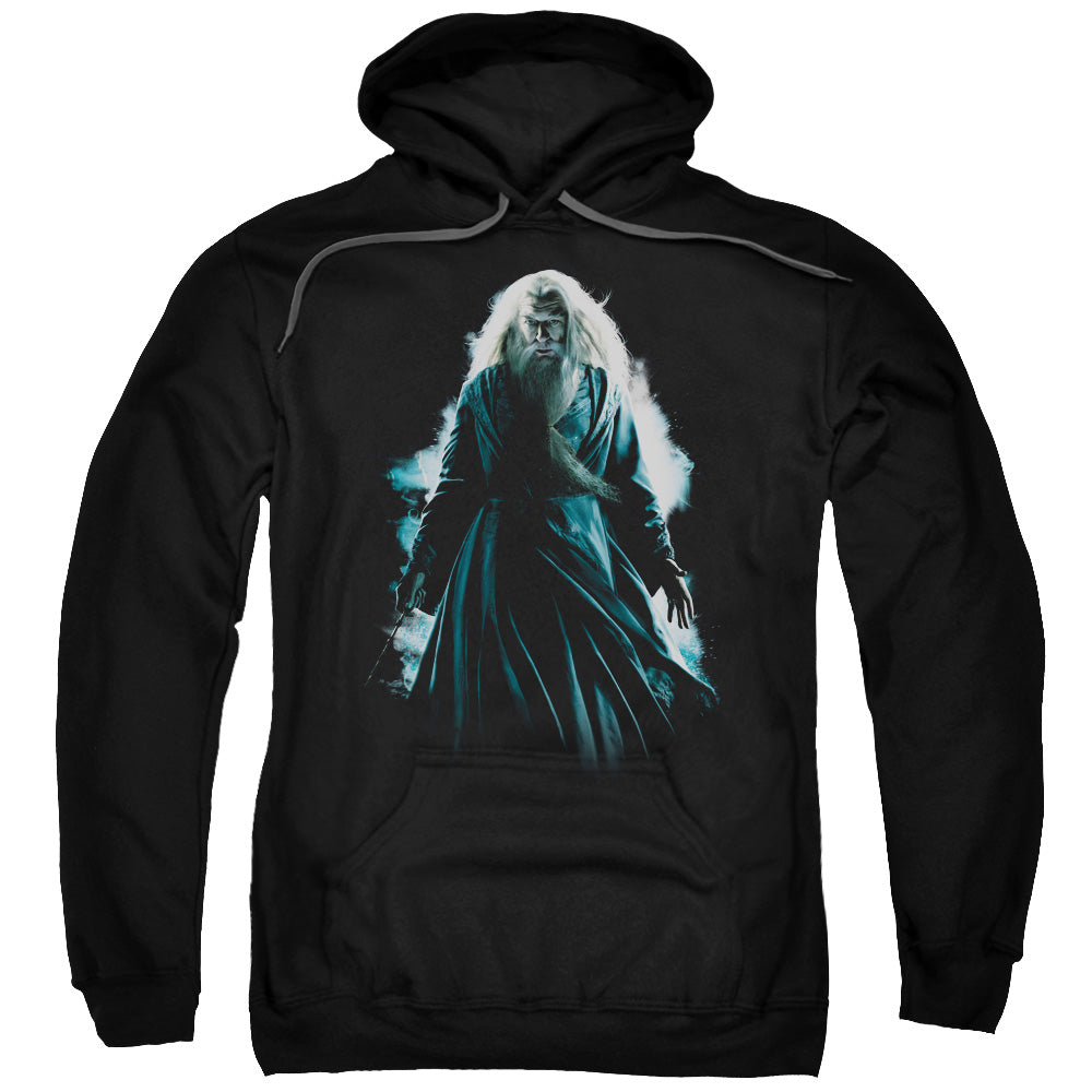 HARRY POTTER/DUMBLEDORE BURST - ADULT PULLOVER HOODIE - BLACK