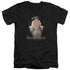 HARRY POTTER/DUMBLE DOORS - S/S ADULT V-NECK 30/1 - BLACK
