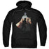 HARRY POTTER/VOLDEMORT LOOMS - ADULT PULLOVER HOODIE - BLACK