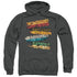 HARRY POTTER/BURNT BANNERS - ADULT PULLOVER HOODIE - CHARCOAL