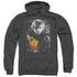 HARRY POTTER/RON PORTRAIT - ADULT PULLOVER HOODIE - CHARCOAL
