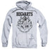 HARRY POTTER/HOGWARTS ATHLETIC - ADULT PULLOVER HOODIE - ATHLETIC HEATHER