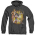 JLA/WONDER WOMAN - ADULT HEATHER HOODIE - BLACK