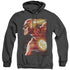 JLA/SPEED HEAD - ADULT HEATHER HOODIE - BLACK