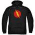JLA/REVERSE FLASH - ADULT PULLOVER HOODIE - BLACK