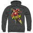 JLA/BOLT RUN - ADULT PULLOVER HOODIE - CHARCOAL