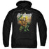 JLA/AQUAMAN BEACH SUNSET - ADULT PULLOVER HOODIE - BLACK