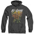 JLA/AQUAMAN BEACH SUNSET - ADULT HEATHER HOODIE - BLACK