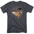 JLA/GLOWING LASSO - S/S ADULT 18/1 - CHARCOAL