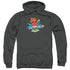 DC FLASH/TOO SLOW - ADULT PULLOVER HOODIE - CHARCOAL