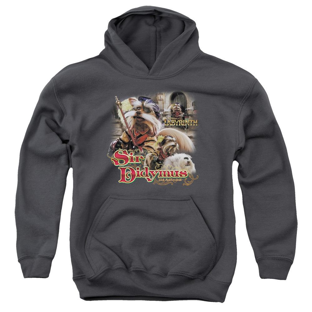 LABYRINTH/SIR DIDYMUS - YOUTH PULLOVER HOODIE - CHARCOAL