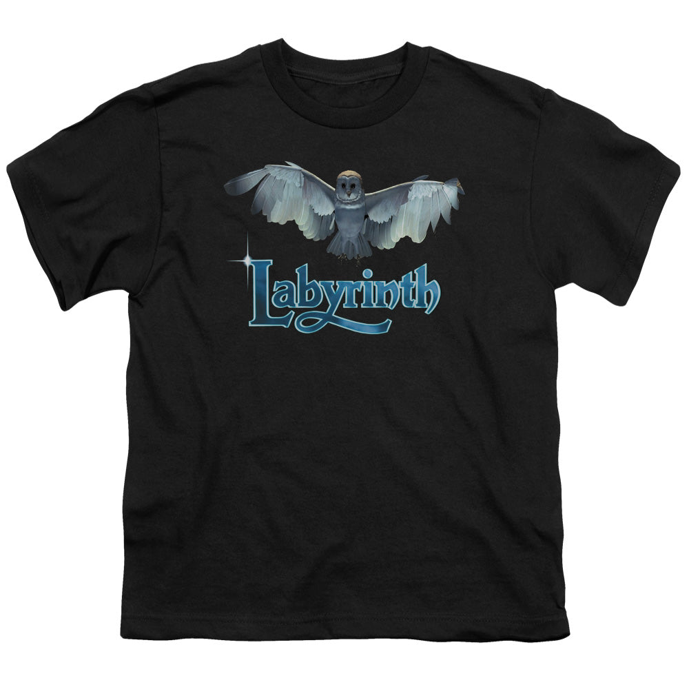 LABYRINTH/TITLE SEQUENCE - S/S YOUTH 18/1 - BLACK