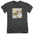 LOONEY TUNES/SQUAD GOALS - S/S ADULT V-NECK 30/1 - CHARCOAL