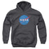 NASA/MEATBALL LOGO DISTRESSED - YOUTH PULLOVER HOODIE - CHARCOAL