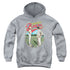BAD NEWS BEARS/VINTAGE - YOUTH PULLOVER HOODIE - ATHLETIC HEATHER