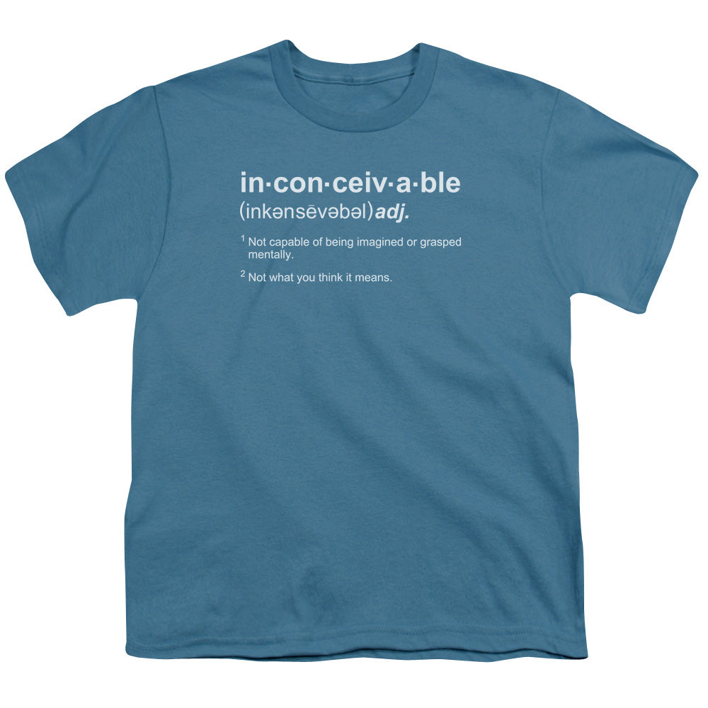PRINCESS BRIDE/DEFINITION - S/S YOUTH 18/1 - SLATE