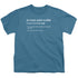 PRINCESS BRIDE/DEFINITION - S/S YOUTH 18/1 - SLATE