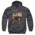 PINK FLOYD/FADED ANIMALS - YOUTH PULLOVER HOODIE - CHARCOAL
