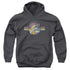 PINK FLOYD/WELCOME TO THE MACHINE - YOUTH PULLOVER HOODIE - CHARCOAL