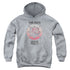PINK FLOYD/ANIMALS TOUR 77 - YOUTH PULLOVER HOODIE - ATHLETIC HEATHER