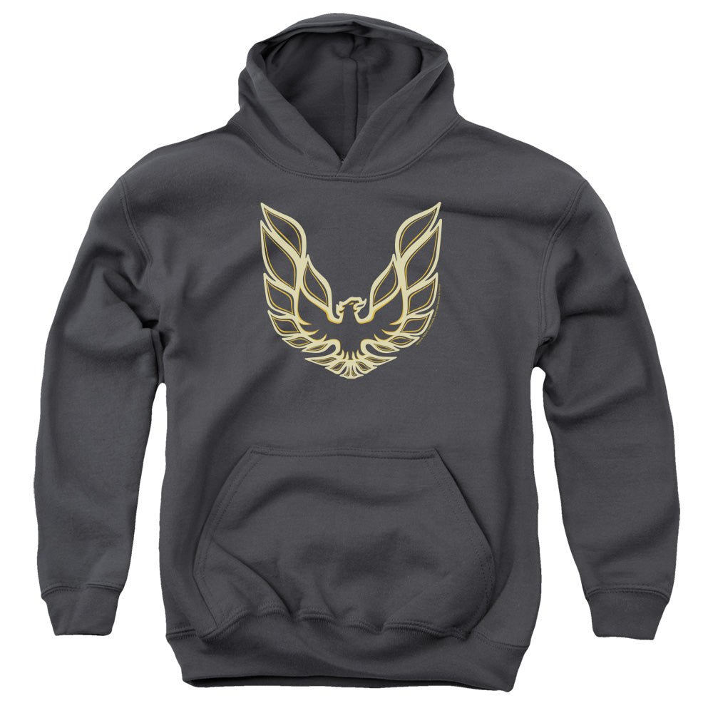 PONTIAC/ICONIC FIREBIRD - YOUTH PULLOVER HOODIE - CHARCOAL