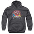 POWER RANGERS NINJA STEEL/NINJA BLAST - YOUTH PULLOVER HOODIE - CHARCOAL