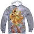 SCOOBY DOO/SCOOBY AND SHAGGY (FRONT/BACK PRINT) - ADULT POLY PULLOVER HOODIE - MULTI