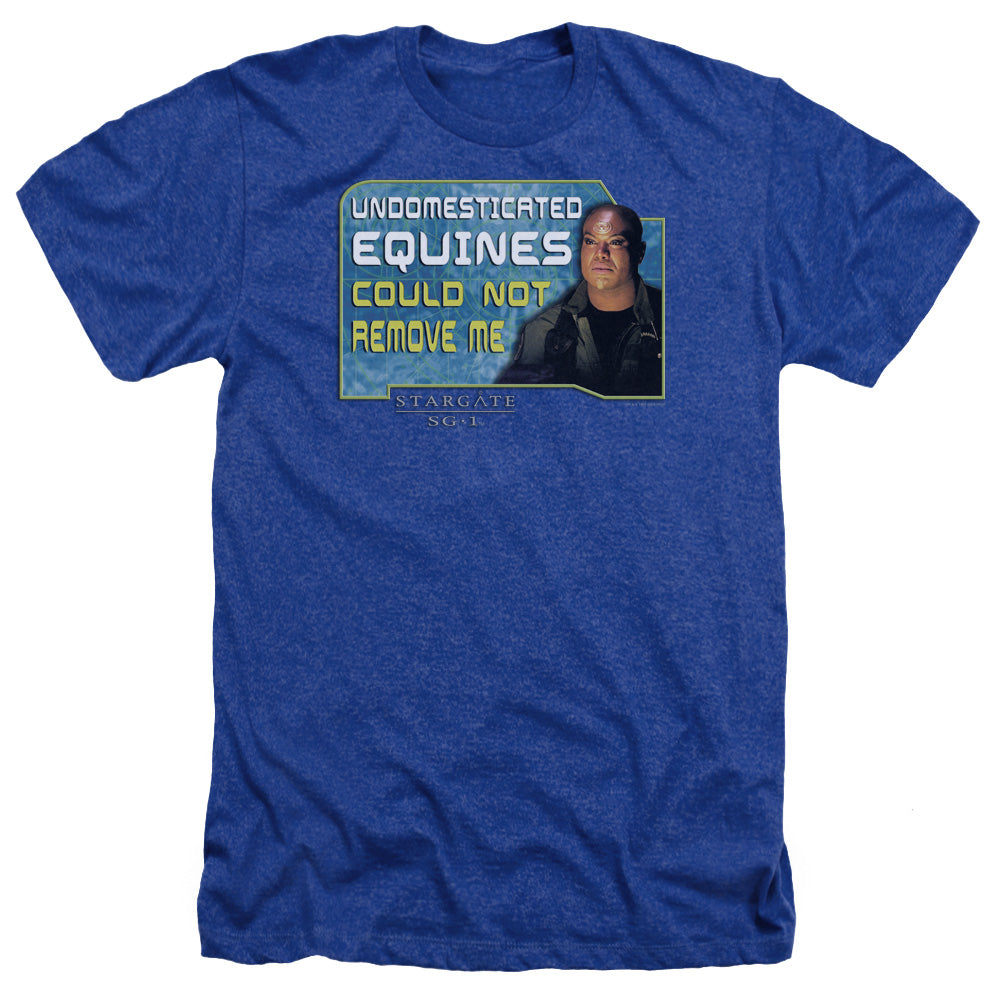 SG1/DEDICATED - ADULT HEATHER - ROYAL BLUE
