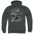 SUPERMAN/STEEL POSES - ADULT PULLOVER HOODIE - CHARCOAL