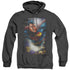 SUPERMAN/IN THE SKY - ADULT HEATHER HOODIE - BLACK