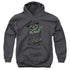 SESAME STREET/EARLY GROUCH - YOUTH PULLOVER HOODIE - CHARCOAL