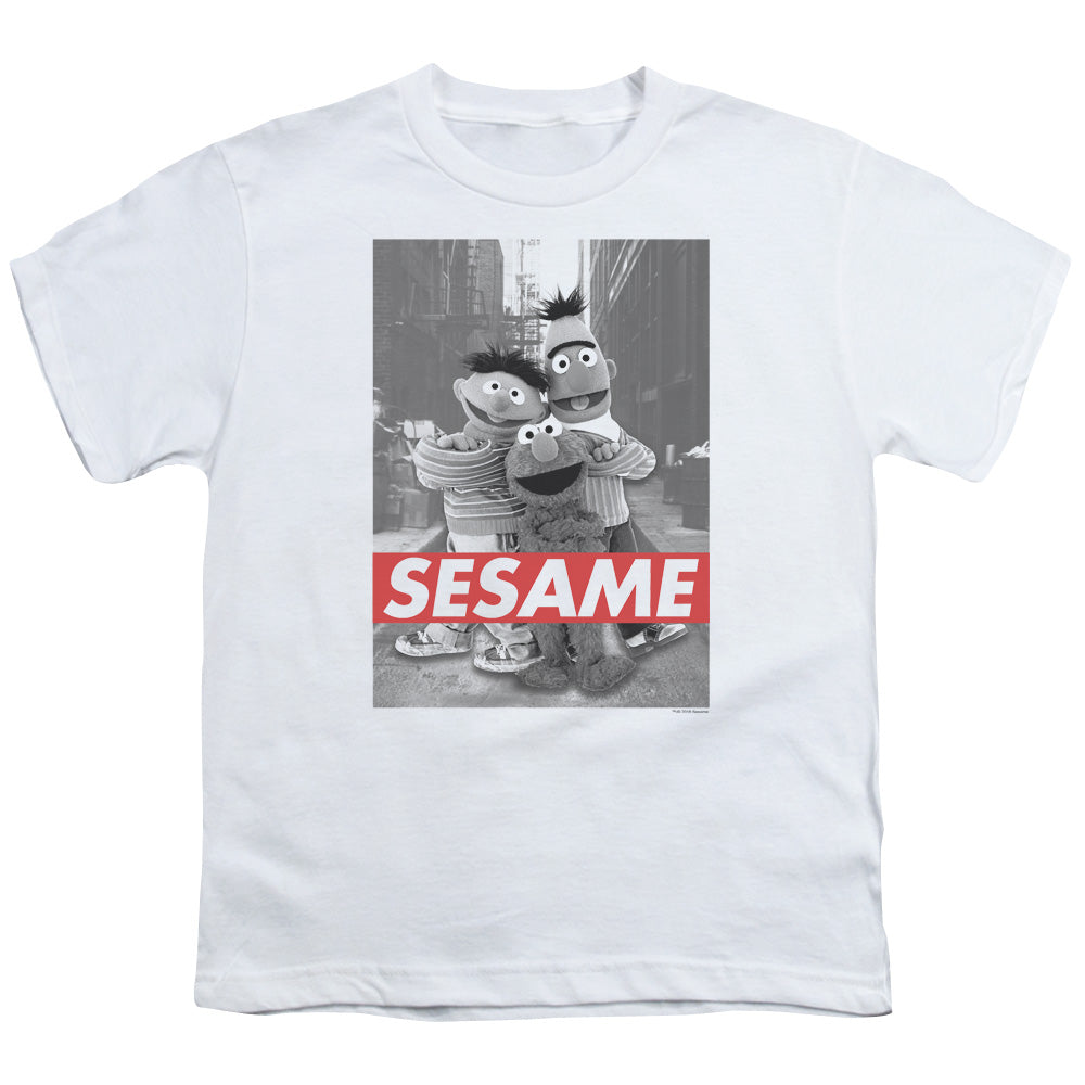 SESAME STREET/SESAME - S/S YOUTH 18/1 - WHITE