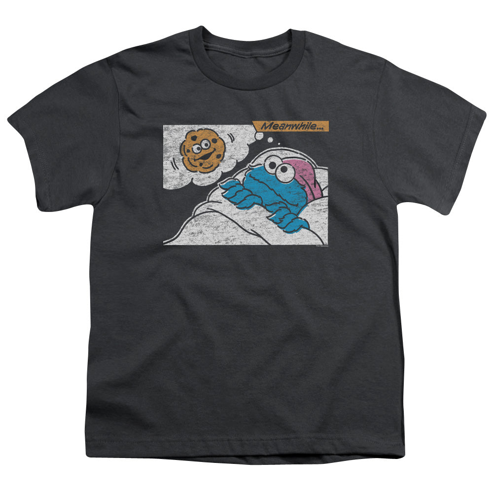 SESAME STREET/MEANWHILE - S/S YOUTH 18/1 - CHARCOAL