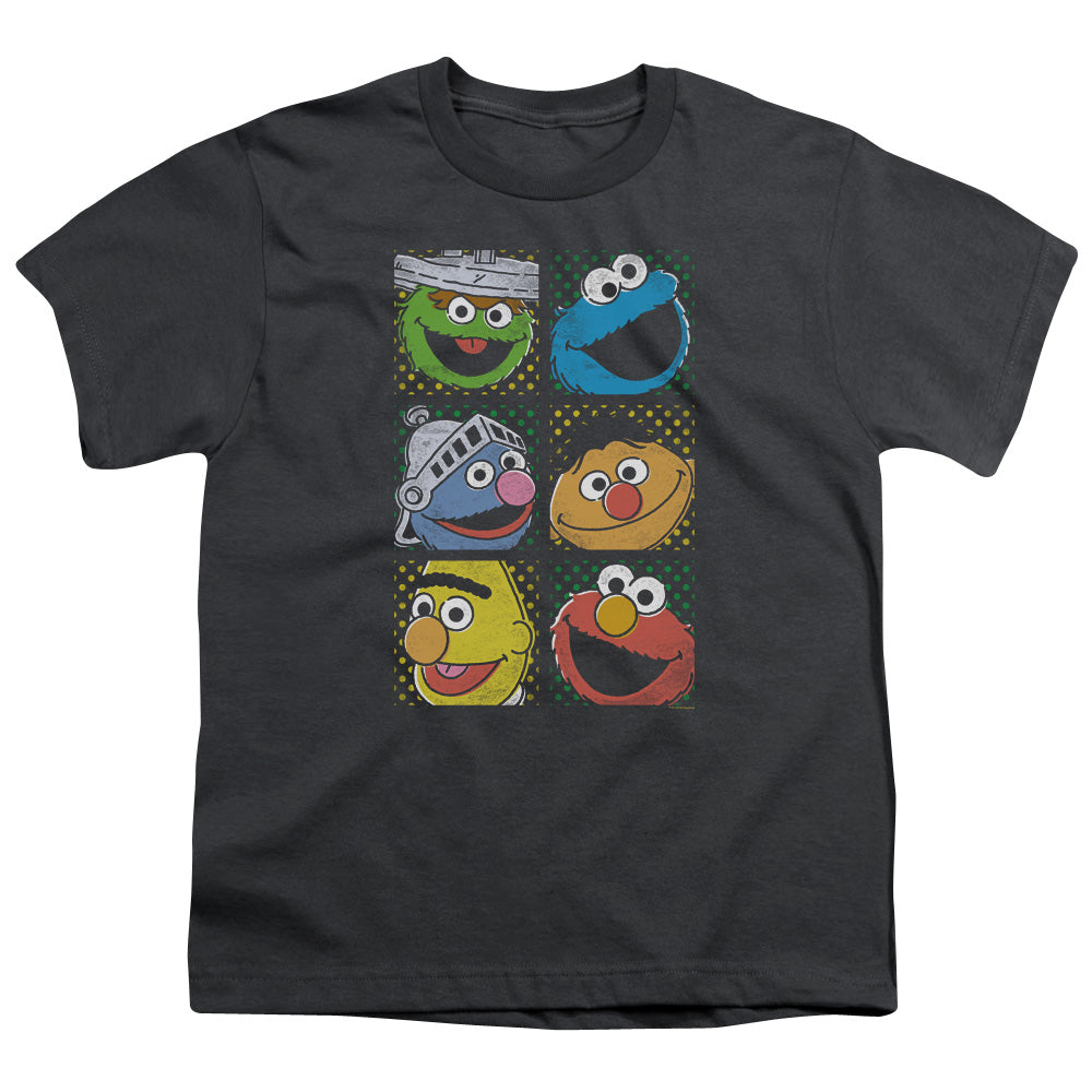 SESAME STREET/GROUP SQUARES - S/S YOUTH 18/1 - CHARCOAL