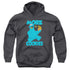 SESAME STREET/MORE COOKIES - YOUTH PULLOVER HOODIE - CHARCOAL
